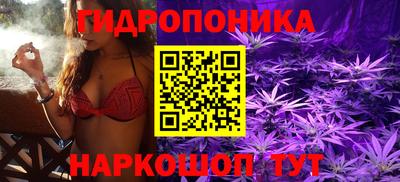 jwh Донецк